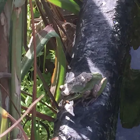 Casa Azul Εξοχικό σπίτι Vallehermoso