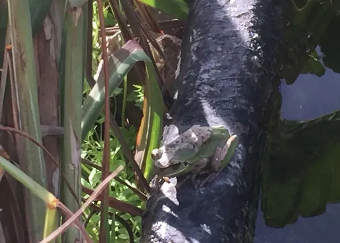 Casa Azul Lantställe Vallehermoso